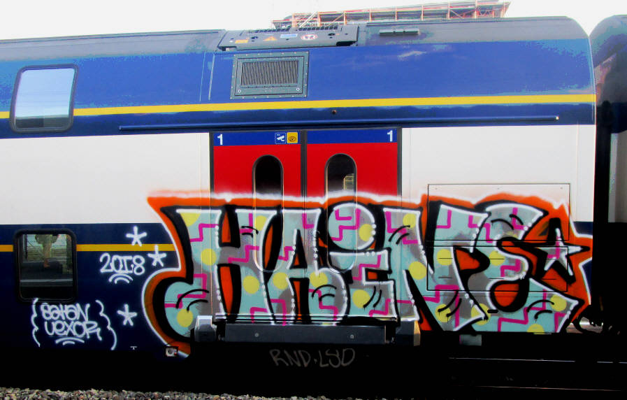 HAINE SBB train graffit zürich