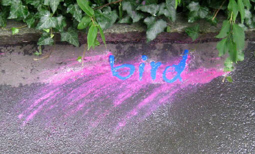 BIRD zurich graffiti rebel art BIRD graffiti TAG zurich switzerland BIRD graffiti in der schweiz