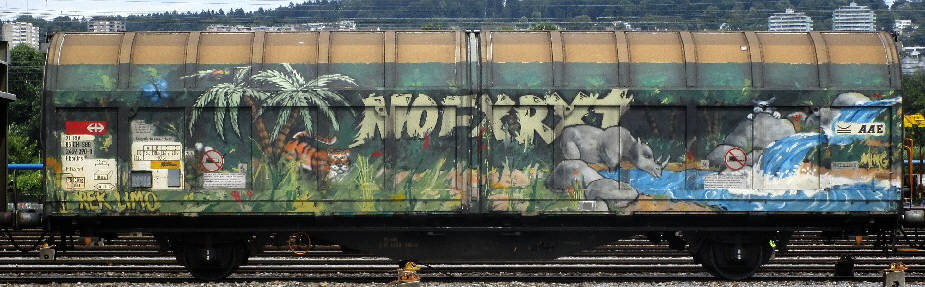 tiger jungle dschungel freight train graffiti nofx rx1 tiger nashrner