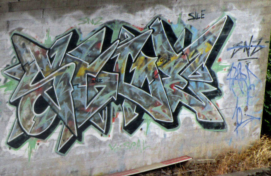 snz graffiti zürich