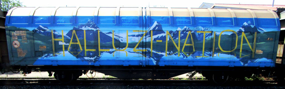 ZUKUNFT IST LUXUS HALLUZINATION HALLUZI-NATION SBB-güterwagen graffiti zürich
