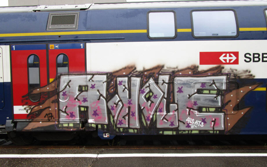 A-HOLE  S-Bahn train graffiti zürich