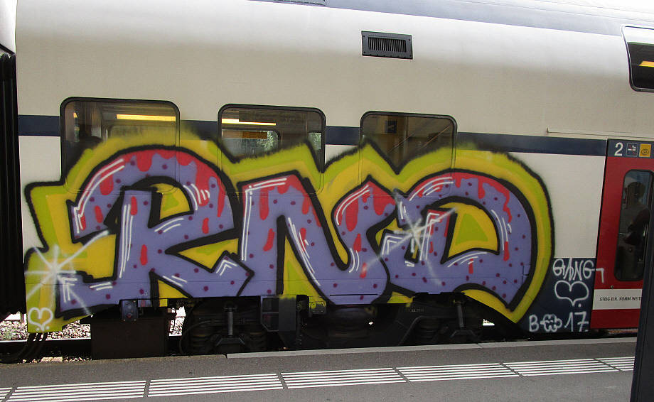 RND S-Bahn train graffiti zürich