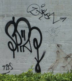 SPIN graffiti tag zrich TBS graffiti tag zrich