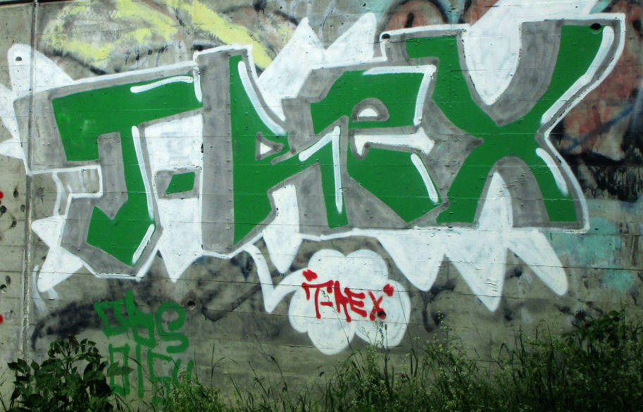 TREX T-REX graffiti zrich