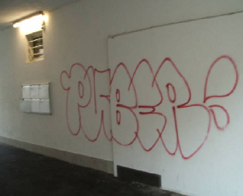 PUBER outline bckerstrasse zrich. fuck the cops